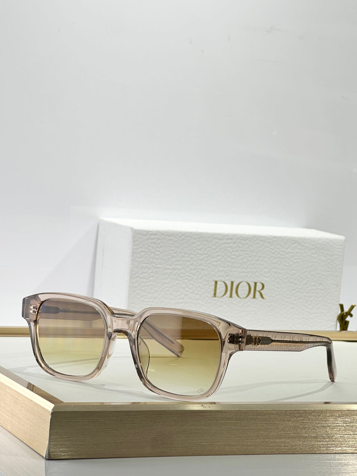 Dior CD lcon S4F Sunglasses