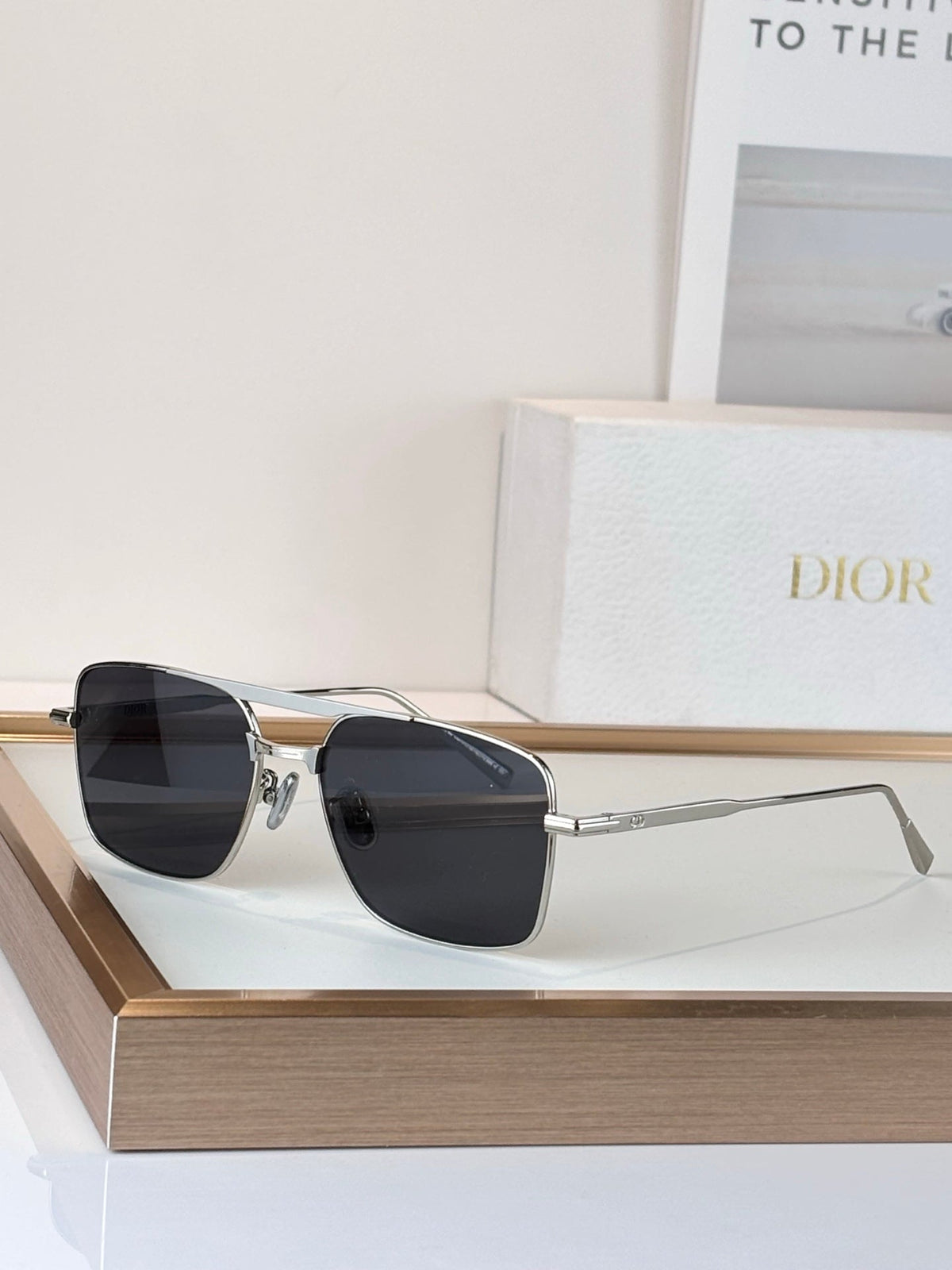 Dior Diorblacksuit s17U Sunglasses