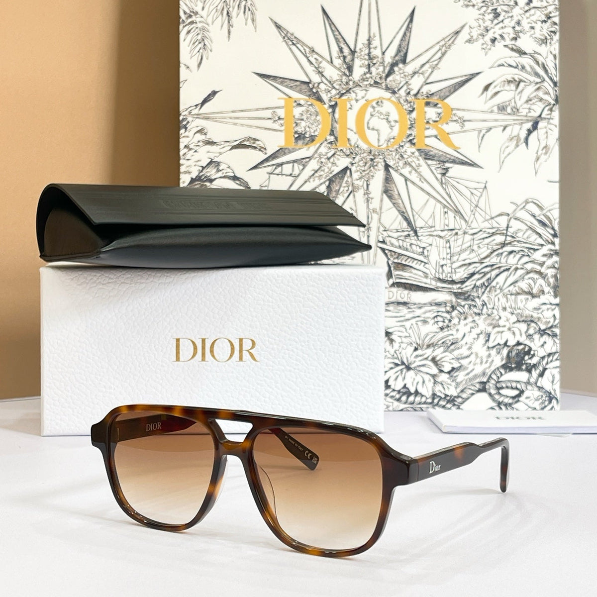 Dior Ribbon A1L Sunglasses