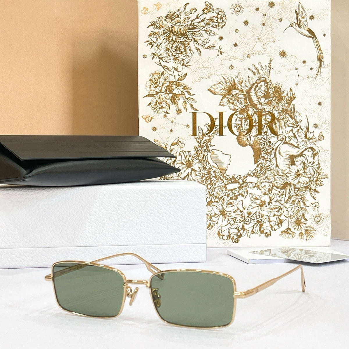 Dior DiorBlackSuit S21U Sunglasses