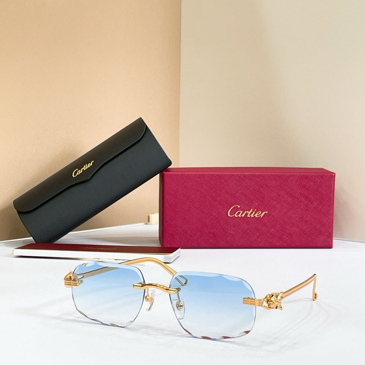 Cartier CT7072S Sunglasses