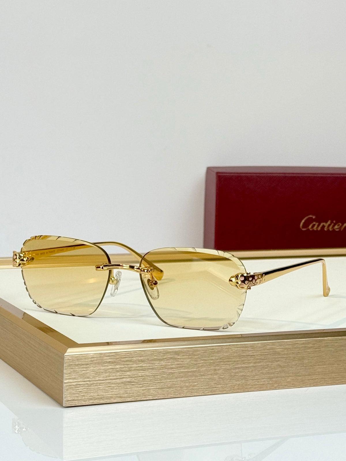 Cartier CT7450S Sunglasses