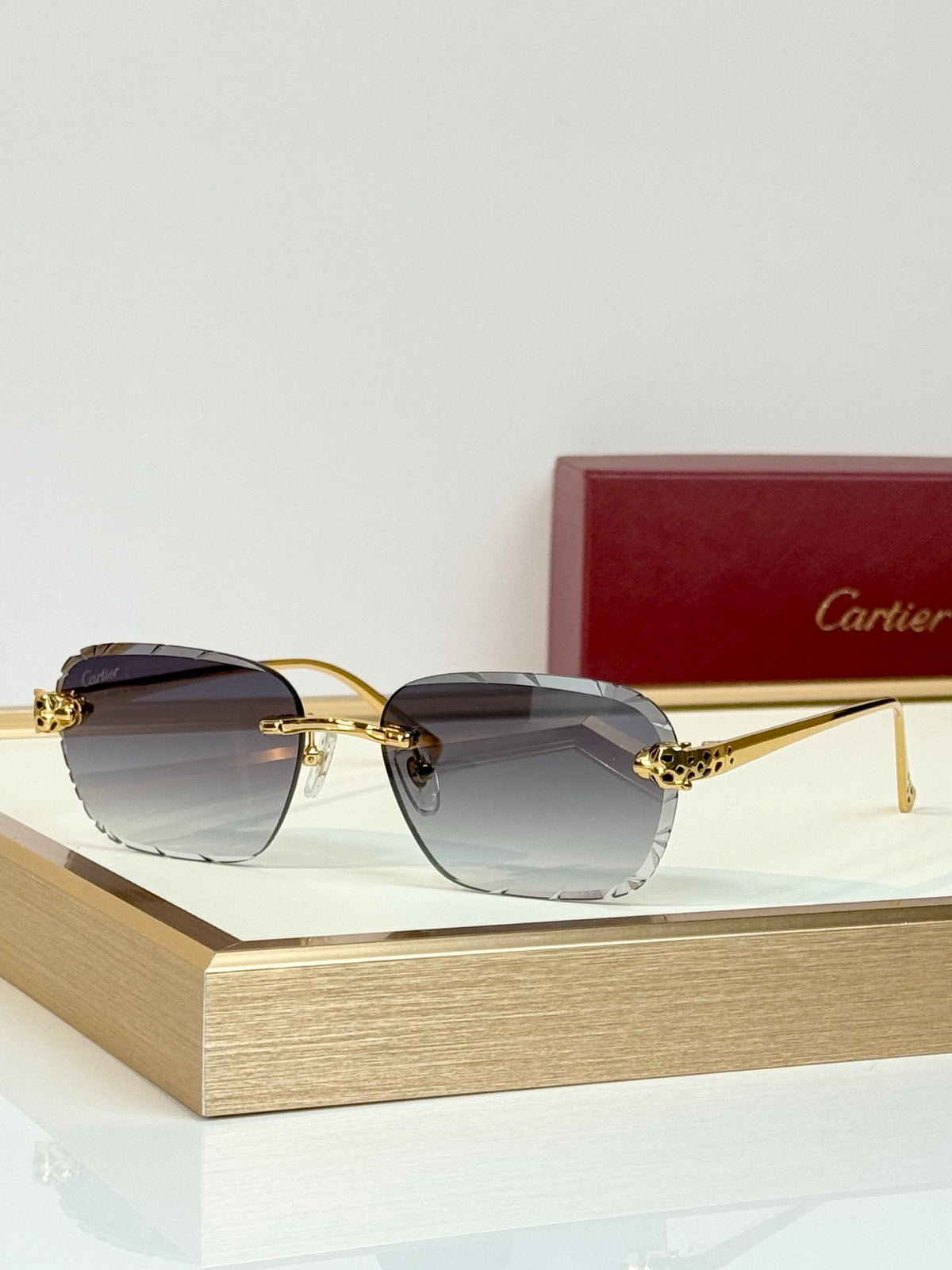 Cartier CT7450S Sunglasses