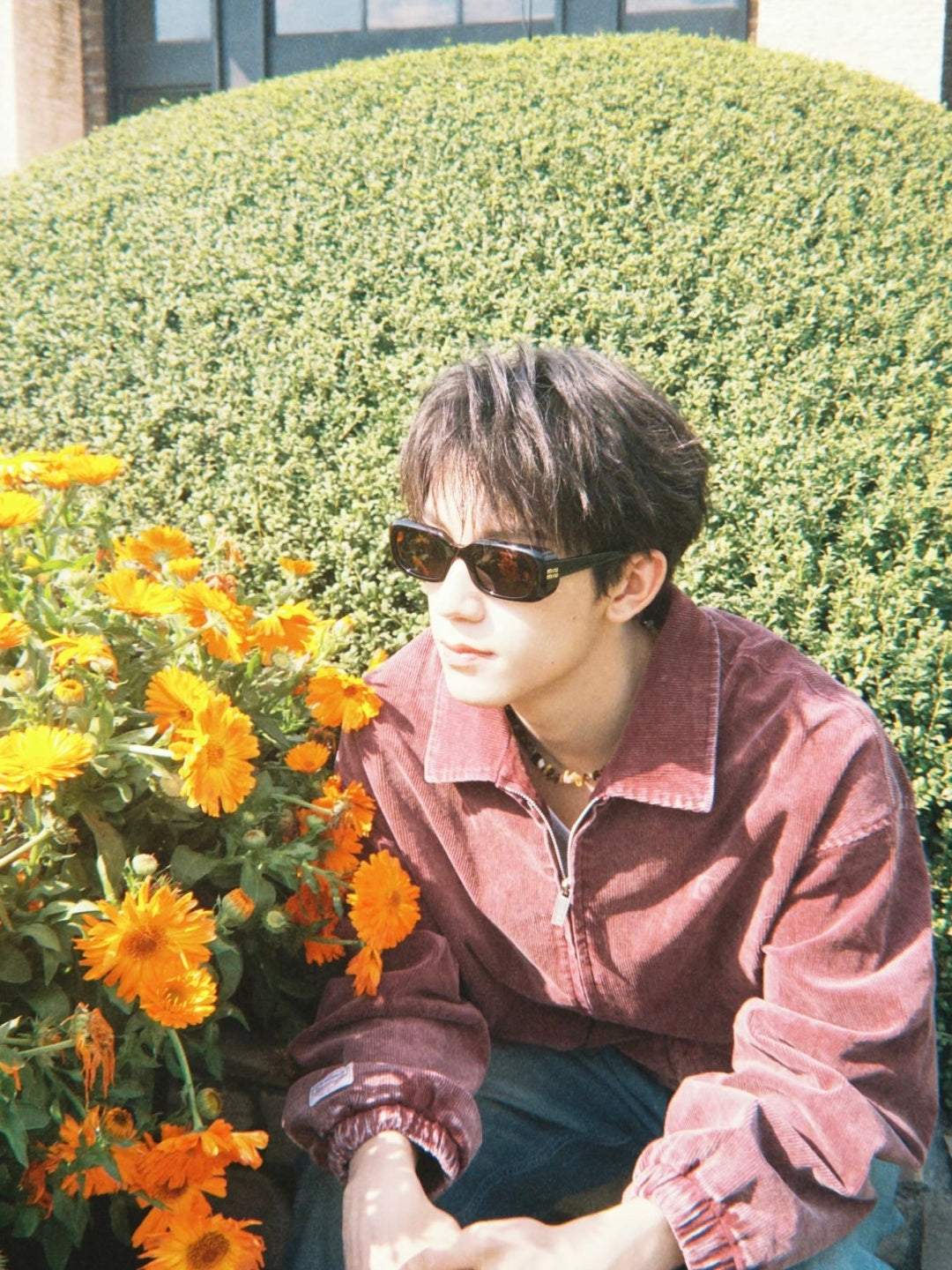 Miu Miu SMU B13-F Sunglasses